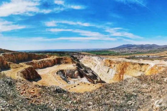 ¿Quieres reforestar un terreno con árboles nativos?