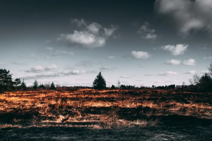 Desertification: Causes and Consequences