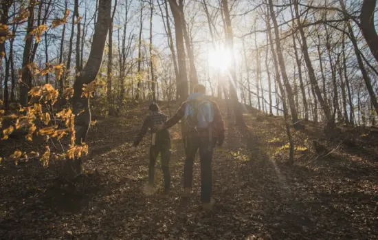 Avances en la Cop26: El compromiso con el medio ambiente es de todos