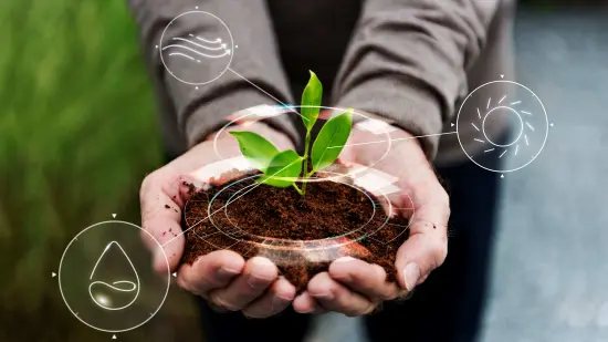 ¿Qué es la huella de carbono? ¿Cómo se puede compensar?