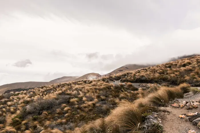 Los ecosistemas más importantes de Colombia