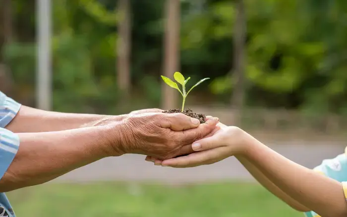 3 ejemplos de responsabilidad social ambiental