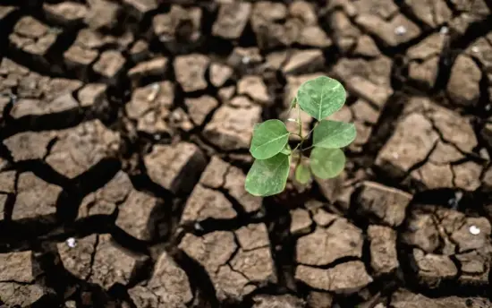 Responsabilidad social ambiental en América latina