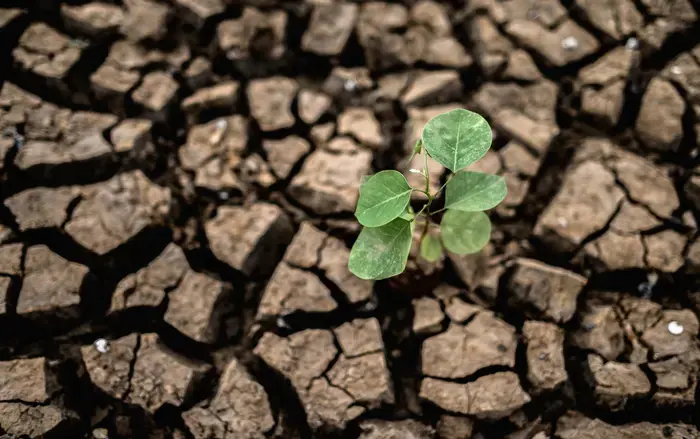 Responsabilidad social ambiental en América latina