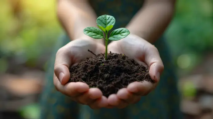 Organizaciones que protegen el medio ambiente en Colombia