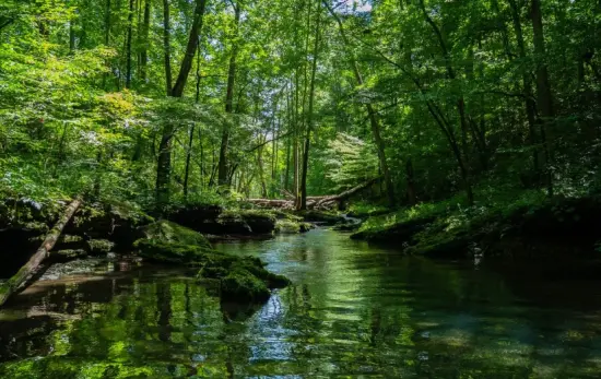 Celebrando 50 años de creación de las Reservas de la Biósfera