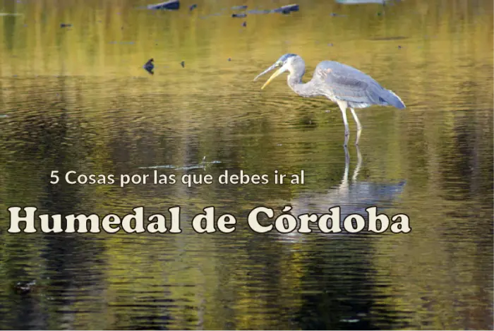 Descubre el Humedal Córdoba: 5 Razones para Visitarnos