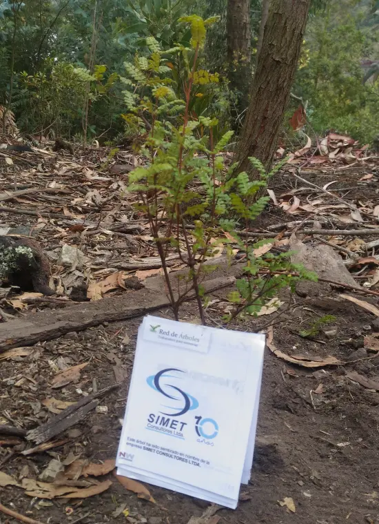 SIMET CONSULTORES LTDA