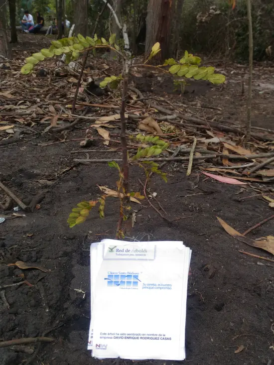 Clínica Santa Bárbara