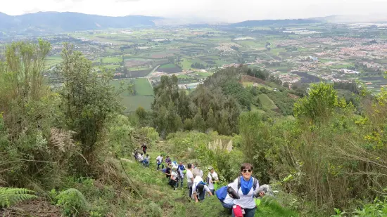 Cota - Cundinamarca, Colombia
