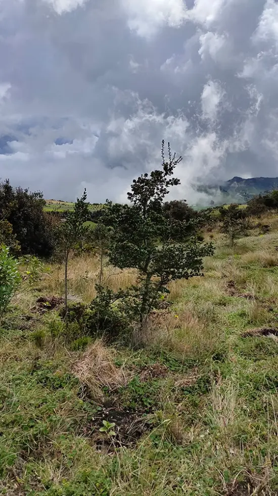 Páramo de Guerrero, Zipaquirá