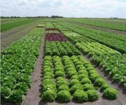 Agroecología, la clave del futuro de la humanidad