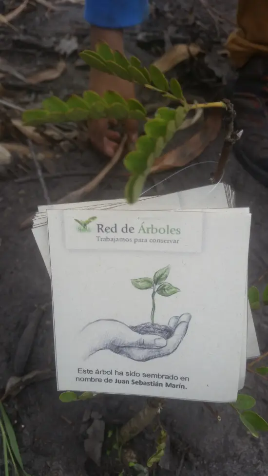 Juan Sebastin Marín