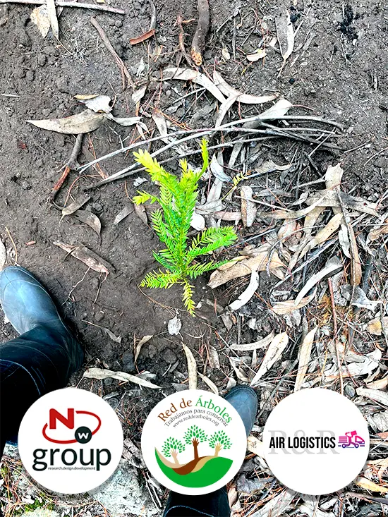 Fundación siembra árboles a nombre de Air Logistics RR SAS 