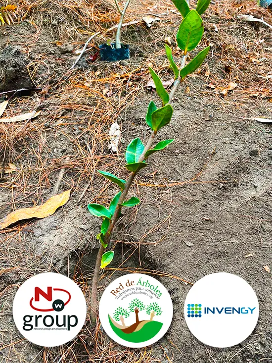Fundación siembra árboles a nombre de Invengy S.A.S