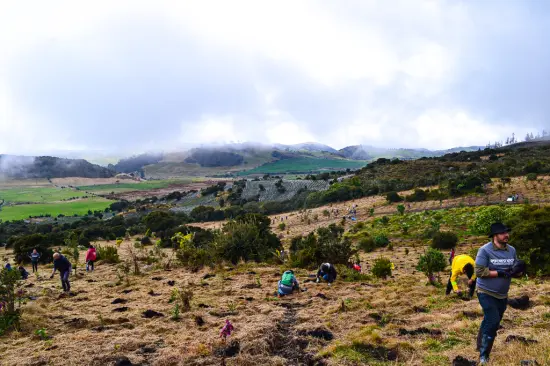 Páramo de Sumapaz, Sibaté