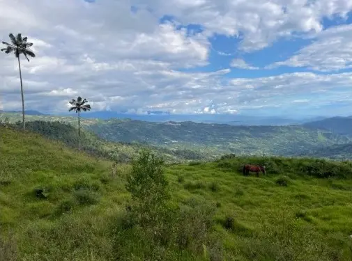 Los Robles, Anolaima