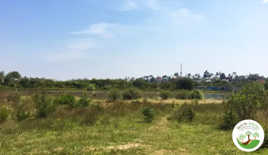 Parque Tarango - Ciudad de México