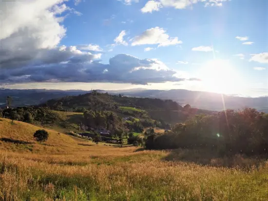 Reserva Natural Forest of Orchids,Tenjo, Cundinamarca