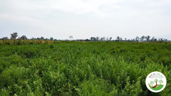 Tláhuac, Ciudad de México