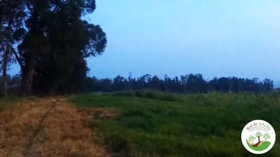 Xochimilco, Ciudad de México