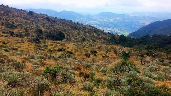 Páramo de Guerrero, Zipaquirá