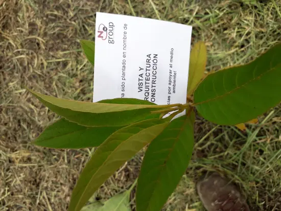 VISTA ARQUITECTURA Y CONSTRUCCIÓN LTDA