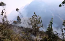 Incendios en la Región de Puno, Perú