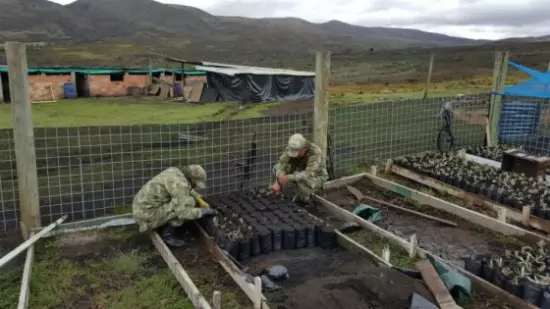 Soldados ayudan a restaurar el páramo de Sumapaz