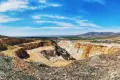 ¿Quieres reforestar un terreno con árboles nativos? ¿Quieres reforestar un terreno con árboles nativos?