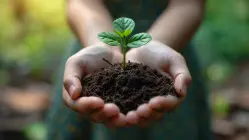 Organizaciones que protegen el medio ambiente en Colombia Organizaciones que protegen el medio ambiente en Colombia