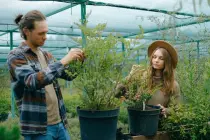 Advantages of optimal monitoring of planted trees Advantages of optimal monitoring of planted trees