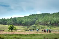 Salidas Empresariales Ecológicas Salidas Empresariales Ecológicas