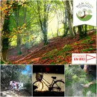 Al Colegio en Bici y Red de Árboles Al Colegio en Bici y Red de Árboles