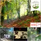 Al Colegio en Bici y Red de Árboles Al Colegio en Bici y Red de Árboles