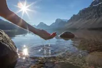 La Importancia de Conectar con la Naturaleza La Importancia de Conectar con la Naturaleza