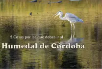 Descubre el Humedal Córdoba: 5 Razones para Visitarnos Descubre el Humedal Córdoba: 5 Razones para Visitarnos