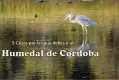 5 cosas por las que debes ir al Humedal Córdoba