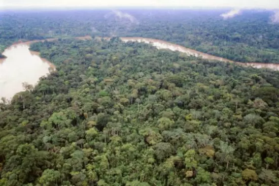 La Amazonia está más amenazada que nunca