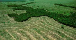 Detienen al Mayor Deforestador de la Amazonía