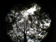 Colombia en el Top 100 de Destinos Sostenibles del Mundo Colombia en el Top 100 de Destinos Sostenibles del Mundo