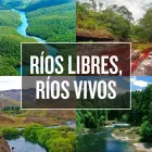 Todos por el agua: Día Mundial Acción Contra Represas
