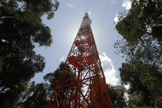 La torre más alta de Suramérica que monitoreará la Amazonia