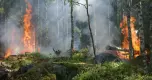 La amazonia brasileña sigue ardiendo