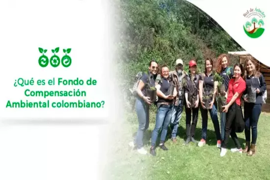 ¿Qué es el Fondo de Compensación Ambiental colombiano?