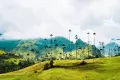 Los retos de los proyectos de restauración ecológica en Colombia