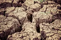 Desertificación: Causas y consecuencias Desertificación: Causas y consecuencias