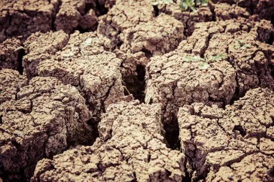 Desertificación: Causas y consecuencias
