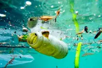 ¿Estás en una relación tóxica? ¿Estás en una relación tóxica?