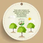 Primera siembra de MARZO! Primera siembra de MARZO!